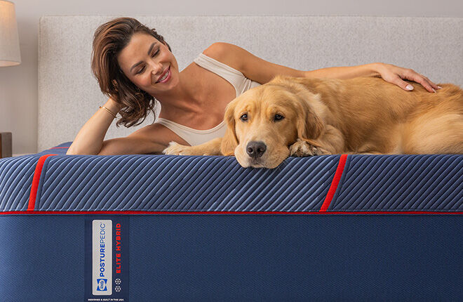 Sealy Mattresses